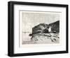 Bank of the Nile at Kom Omboo, Egypt, 1879-null-Framed Giclee Print