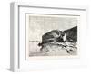 Bank of the Nile at Kom Omboo, Egypt, 1879-null-Framed Giclee Print