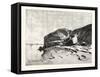 Bank of the Nile at Kom Omboo, Egypt, 1879-null-Framed Stretched Canvas