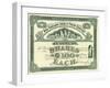 Bank Stock Certificate, 1896-null-Framed Giclee Print