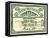 Bank Stock Certificate, 1896-null-Framed Stretched Canvas