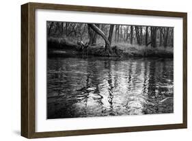 Bank Study #1-Trent Foltz-Framed Art Print