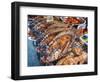 Bankok Food Market with a a Large Variety of Food Choices-Terry Eggers-Framed Photographic Print