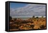 Banks along Zambezi River-Michele Westmorland-Framed Stretched Canvas