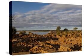 Banks along Zambezi River-Michele Westmorland-Stretched Canvas