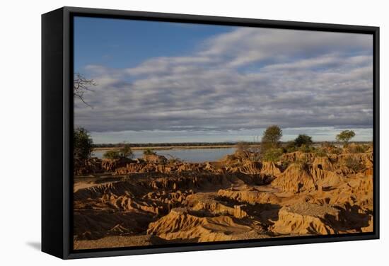 Banks along Zambezi River-Michele Westmorland-Framed Stretched Canvas