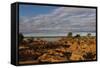 Banks along Zambezi River-Michele Westmorland-Framed Stretched Canvas