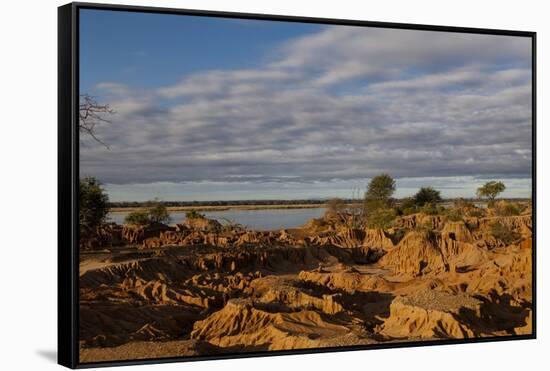 Banks along Zambezi River-Michele Westmorland-Framed Stretched Canvas
