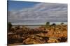 Banks along Zambezi River-Michele Westmorland-Stretched Canvas