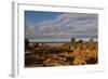 Banks along Zambezi River-Michele Westmorland-Framed Photographic Print