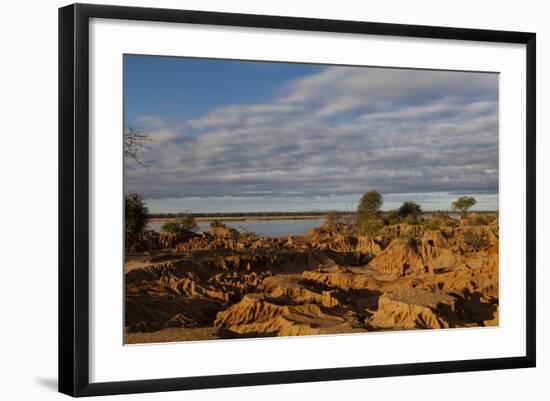 Banks along Zambezi River-Michele Westmorland-Framed Photographic Print