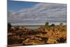 Banks along Zambezi River-Michele Westmorland-Mounted Photographic Print