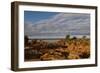 Banks along Zambezi River-Michele Westmorland-Framed Photographic Print