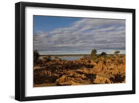 Banks along Zambezi River-Michele Westmorland-Framed Photographic Print