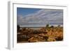 Banks along Zambezi River-Michele Westmorland-Framed Photographic Print