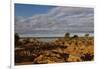 Banks along Zambezi River-Michele Westmorland-Framed Photographic Print