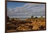 Banks along Zambezi River-Michele Westmorland-Framed Photographic Print