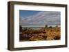 Banks along Zambezi River-Michele Westmorland-Framed Photographic Print