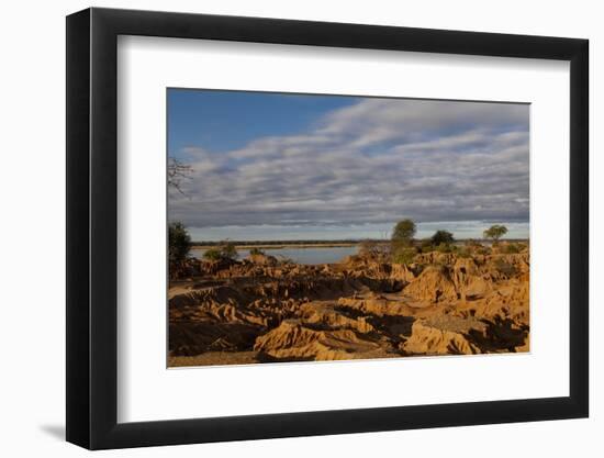 Banks along Zambezi River-Michele Westmorland-Framed Photographic Print