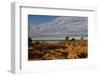 Banks along Zambezi River-Michele Westmorland-Framed Photographic Print