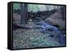 Banks of Lamprey River, National Wild and Scenic River, New Hampshire, USA-Jerry & Marcy Monkman-Framed Stretched Canvas