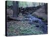 Banks of Lamprey River, National Wild and Scenic River, New Hampshire, USA-Jerry & Marcy Monkman-Stretched Canvas