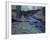 Banks of Lamprey River, National Wild and Scenic River, New Hampshire, USA-Jerry & Marcy Monkman-Framed Photographic Print