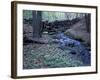 Banks of Lamprey River, National Wild and Scenic River, New Hampshire, USA-Jerry & Marcy Monkman-Framed Photographic Print