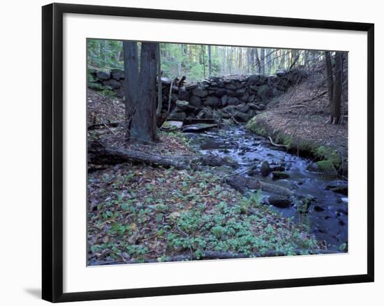 Banks of Lamprey River, National Wild and Scenic River, New Hampshire, USA-Jerry & Marcy Monkman-Framed Photographic Print