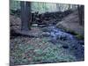 Banks of Lamprey River, National Wild and Scenic River, New Hampshire, USA-Jerry & Marcy Monkman-Mounted Photographic Print