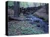 Banks of Lamprey River, National Wild and Scenic River, New Hampshire, USA-Jerry & Marcy Monkman-Stretched Canvas