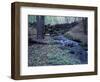 Banks of Lamprey River, National Wild and Scenic River, New Hampshire, USA-Jerry & Marcy Monkman-Framed Photographic Print