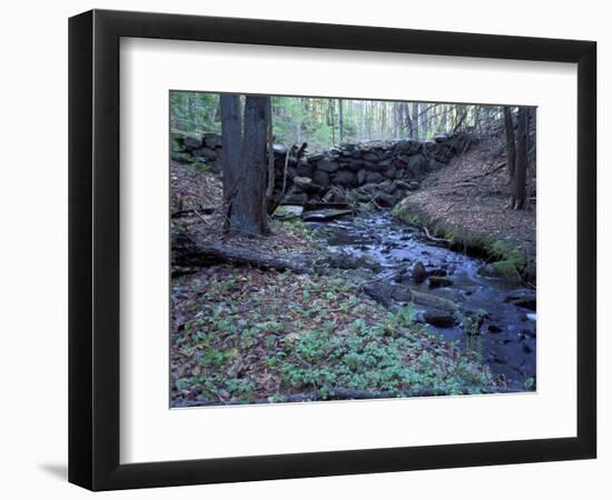 Banks of Lamprey River, National Wild and Scenic River, New Hampshire, USA-Jerry & Marcy Monkman-Framed Photographic Print