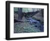 Banks of Lamprey River, National Wild and Scenic River, New Hampshire, USA-Jerry & Marcy Monkman-Framed Photographic Print