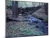 Banks of Lamprey River, National Wild and Scenic River, New Hampshire, USA-Jerry & Marcy Monkman-Mounted Photographic Print