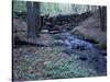 Banks of Lamprey River, National Wild and Scenic River, New Hampshire, USA-Jerry & Marcy Monkman-Stretched Canvas