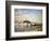 Banks of the Loing at Saint-Mammes-Alfred Sisley-Framed Giclee Print