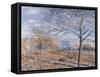 Banks of the Loing - Autumn Effect, 1881-Alfred Sisley-Framed Stretched Canvas