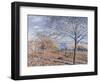 Banks of the Loing - Autumn Effect, 1881-Alfred Sisley-Framed Giclee Print