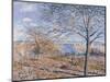 Banks of the Loing - Autumn Effect, 1881-Alfred Sisley-Mounted Giclee Print