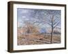 Banks of the Loing - Autumn Effect, 1881-Alfred Sisley-Framed Giclee Print