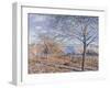 Banks of the Loing - Autumn Effect, 1881-Alfred Sisley-Framed Giclee Print