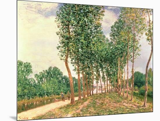 Banks of the Loing, Near Moret-Alfred Sisley-Mounted Giclee Print