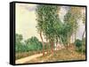 Banks of the Loing, Near Moret-Alfred Sisley-Framed Stretched Canvas