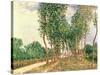 Banks of the Loing, Near Moret-Alfred Sisley-Stretched Canvas