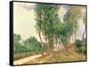 Banks of the Loing, Near Moret-Alfred Sisley-Framed Stretched Canvas