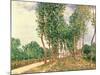 Banks of the Loing, Near Moret-Alfred Sisley-Mounted Giclee Print