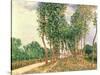 Banks of the Loing, Near Moret-Alfred Sisley-Stretched Canvas