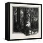 Banks of the Red River, Canada, Nineteenth Century-null-Framed Stretched Canvas