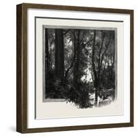 Banks of the Red River, Canada, Nineteenth Century-null-Framed Giclee Print